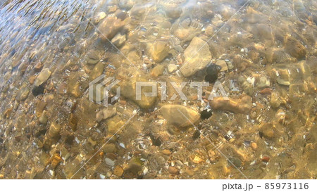 Background yellow sandy bottom with stones rocks and seashells. 85973116