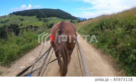 Horse pulls a chaise on a dirt path on a sunny day 85973118