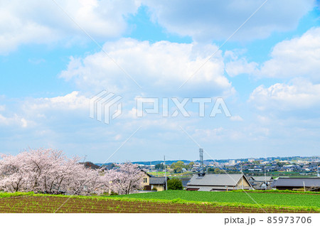 田舎の桜咲く田園風景「最高の春空お天気風景」 85973706