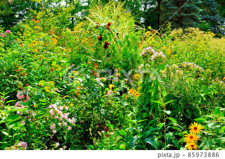 北海道紀行 美しき上野ファーム 北海道紀行 美しき上野ファーム 85973886