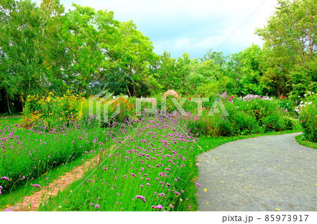 北海道紀行　　美しき上野ファーム 85973917