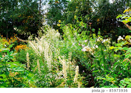 北海道紀行　　美しき上野ファーム 85973936