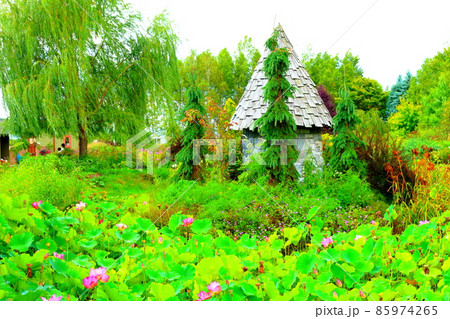 北海道紀行　　美しき上野ファーム 85974265