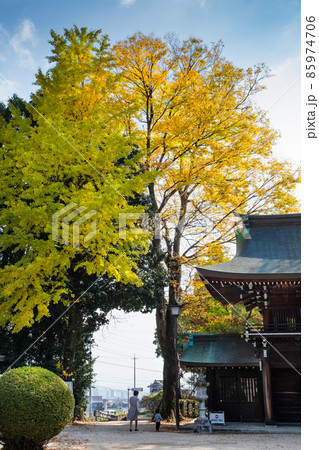 天皇陛下から幣饌料を奉納された、速谷神社の紅葉風景です。七五三のお参りの季節です。廿日市市 85974706