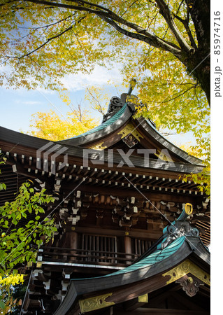 天皇陛下から幣饌料を奉納された、速谷神社の紅葉風景です。七五三のお参りの季節です。廿日市市 天皇陛下から幣饌料を奉納された、速谷神社の紅葉風景です。七五三のお参りの季節です。廿日市市 85974716