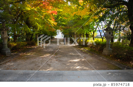 天皇陛下から幣饌料を奉納された、速谷神社の紅葉風景です。七五三のお参りの季節です。廿日市市 85974718