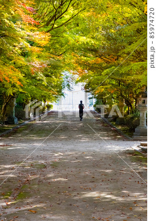 天皇陛下から幣饌料を奉納された、速谷神社の紅葉風景です。七五三のお参りの季節です。廿日市市 天皇陛下から幣饌料を奉納された、速谷神社の紅葉風景です。七五三のお参りの季節です。廿日市市 85974720
