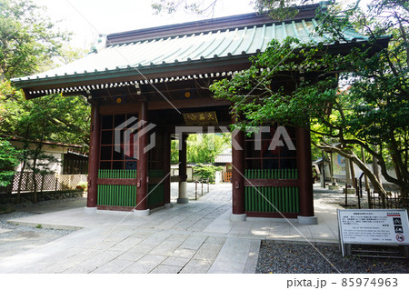鎌倉の大仏~大異山清浄泉寺高徳院~ 鎌倉の大仏~大異山清浄泉寺高徳院~ 85974963