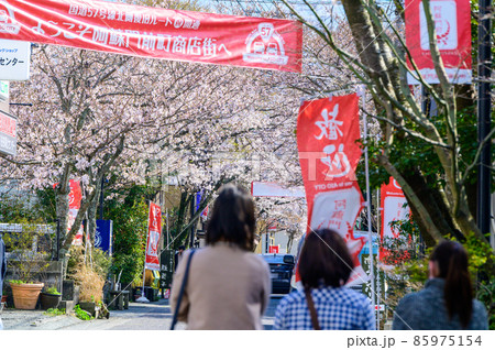 阿蘇神社前の一の宮、商店街の桜祭り風景「観光スポット」 阿蘇神社前の一の宮、商店街の桜祭り風景「観光スポット」 85975154