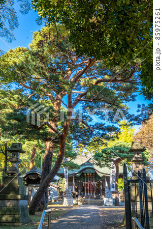 大泉 諏訪神社　練馬区西大泉 85975261