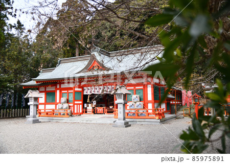 阿須賀神社　【和歌山県新宮市】 85975891