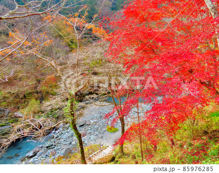 天然記念物 山波石と峡谷 天然記念物 山波石と峡谷 85976285