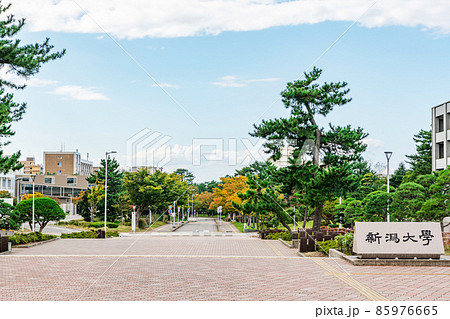 新潟県新潟市　国立大学法人新潟大学　 85976665