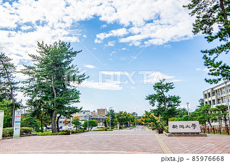 新潟県新潟市　国立大学法人新潟大学　 85976668