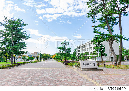 新潟県新潟市　国立大学法人新潟大学　 85976669