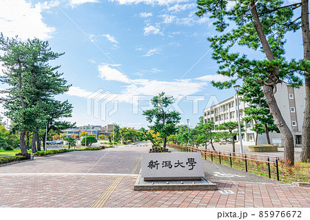 新潟県新潟市 国立大学法人新潟大学 新潟県新潟市 国立大学法人新潟大学 85976672
