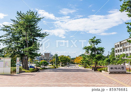 新潟県新潟市 国立大学法人新潟大学 新潟県新潟市 国立大学法人新潟大学 85976681
