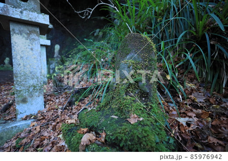 源頼朝が隠れたしとどの窟の石仏 85976942