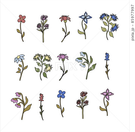 Floral vector doodle design elements. Hand drawn decorative leaves and wreaths. Flower ornament dividers. Tree branches with leaf and flowers. Frames Floral vector doodle design elements. Hand drawn decorative leaves and wreaths. Flower ornament dividers. Tree branches with leaf and flowers. Frames 85977997