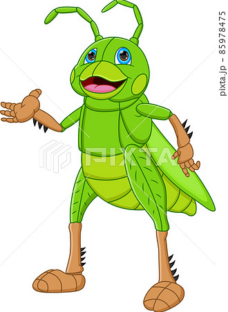 cartoon cute grasshopper isolated on white background 85978475