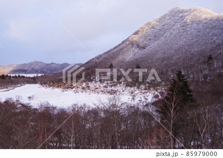 朝日に照らされる厳冬期の赤城山 朝日に照らされる厳冬期の赤城山 85979000
