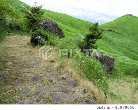 阿蘇二重峠の石畳 （熊本県） 85979056