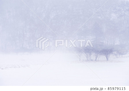 厳冬期の覚満淵「群馬県」 厳冬期の覚満淵「群馬県」 85979115