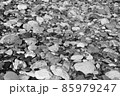 Black and white background of stones 85979247