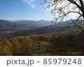 Mountain landscape with autumn yellow trees 85979248