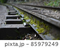Mossy old railway close up 85979249