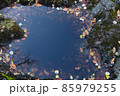Puddle of water in stone with blue sky reflection and autumn leaves 85979255