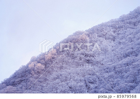 朝日に照らされる厳冬期の赤城山 朝日に照らされる厳冬期の赤城山 85979568