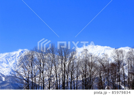 麗しき北アルプス　  　　美しき冠雪の北アルプス　　 85979834