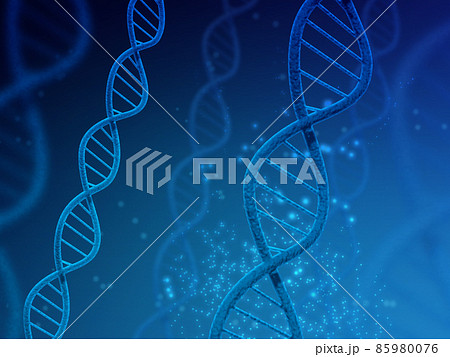 遺伝子（DNA） 85980076