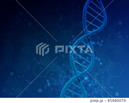 遺伝子(DNA) 遺伝子(DNA) 85980079