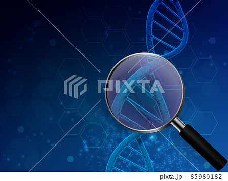 遺伝子（DNA） 85980182