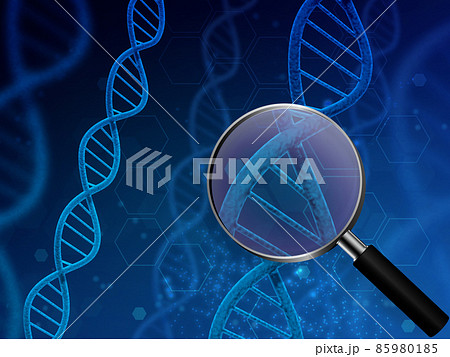 遺伝子（DNA） 85980185