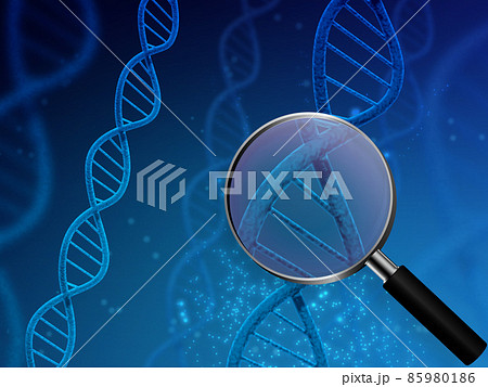 遺伝子(DNA) 遺伝子(DNA) 85980186