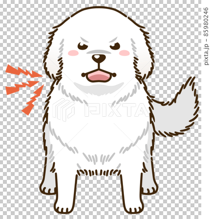 威嚇するグレートピレニーズ 威嚇するグレートピレニーズ 85980246