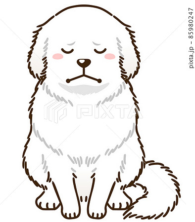 落ち込むグレートピレニーズ 落ち込むグレートピレニーズ 85980247