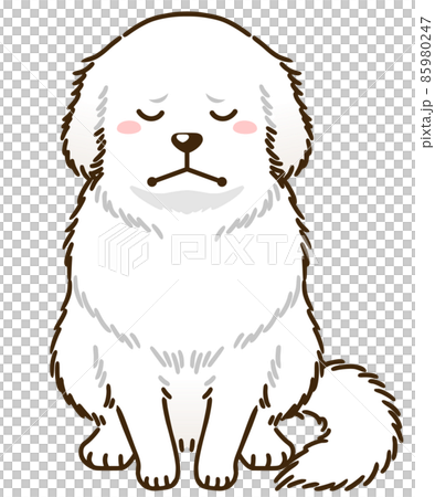 落ち込むグレートピレニーズ 落ち込むグレートピレニーズ 85980247