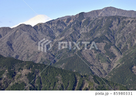 丹沢の大山北尾根 ミズヒノ頭からの富士山と表丹沢の展望 丹沢の大山北尾根 ミズヒノ頭からの富士山と表丹沢の展望 85980331