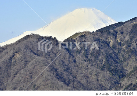 丹沢の大山北尾根　ミズヒノ頭から富士山を望む 85980334
