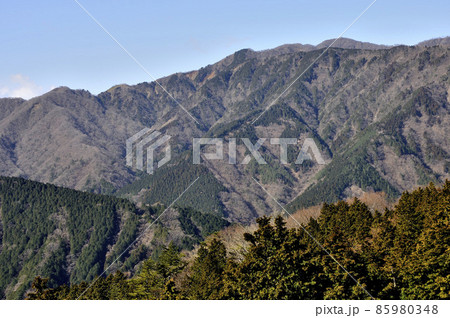 丹沢の大山北尾根　境沢ノ頭（境沢クドレ）より表尾根を望む 85980348