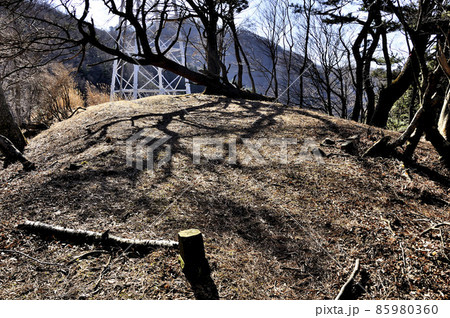丹沢の大山北尾根　境沢ノ頭（境沢クドレ）山頂 85980360