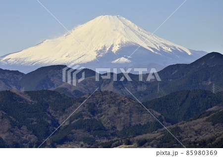 神奈川県秦野市の菜の花台より望む富士山 85980369