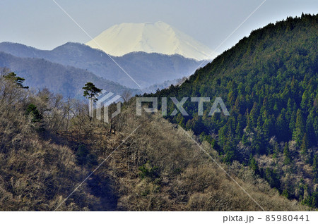 道志山塊の大丸　御座敷の松より富士山遠望 85980441