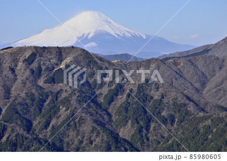 丹沢の大山北尾根より望む富士山と表尾根の山稜 丹沢の大山北尾根より望む富士山と表尾根の山稜 85980605