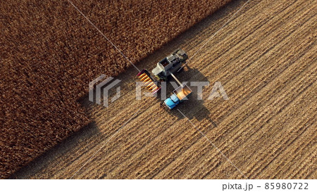 Harvester pours the corn after harvesting into field into back of cargo vehicle 85980722
