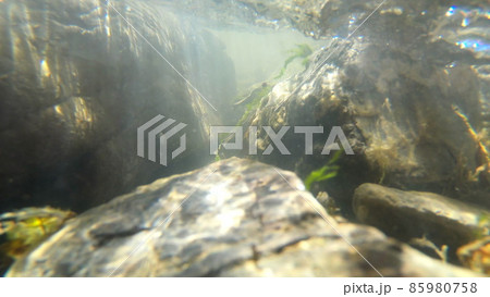 Flowing water, skylight of sun through water, stones lying at bottom, 85980758